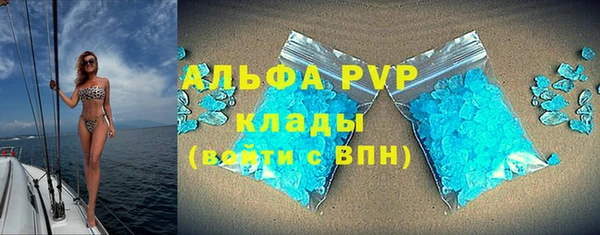ECSTASY Новозыбков