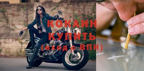 ECSTASY Новозыбков