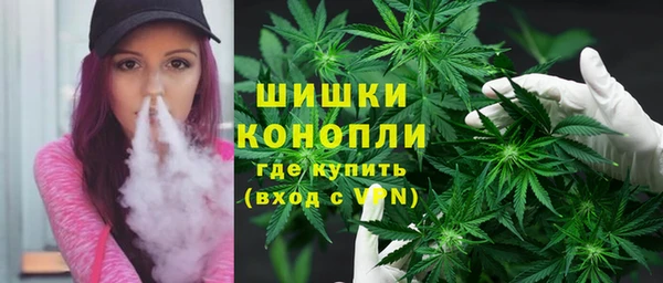 трава Новокубанск