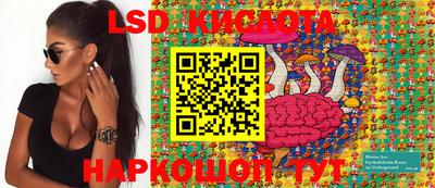 спиды Жуковский