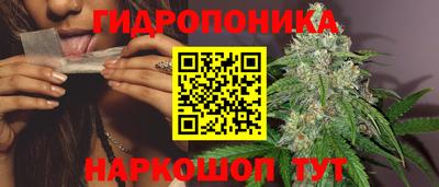 гидра Заволжье