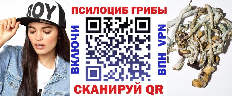 Псилоцибиновые грибы Psilocybe  Нефтеюганск 