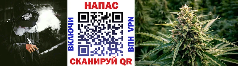 купить   Нефтеюганск  MEGA как зайти  Шишки марихуана план 
